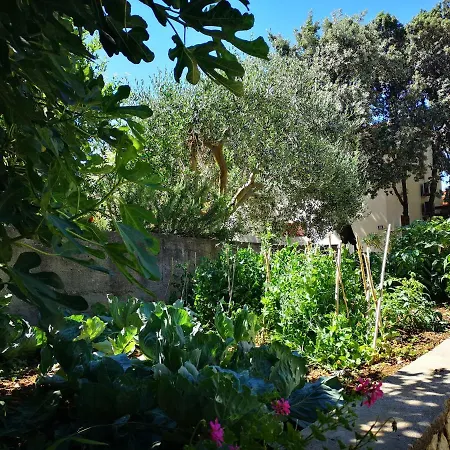 Appartement Milena 8 Mandre
