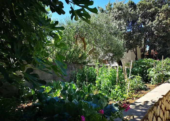 Apartment Milena 8 Mandre